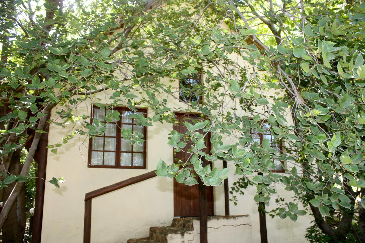 Hekpoort The Nutbush Boma Lodge מראה חיצוני תמונה